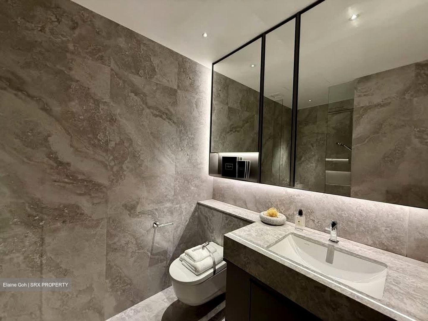 Meyer Road (D15), Condominium #577698051